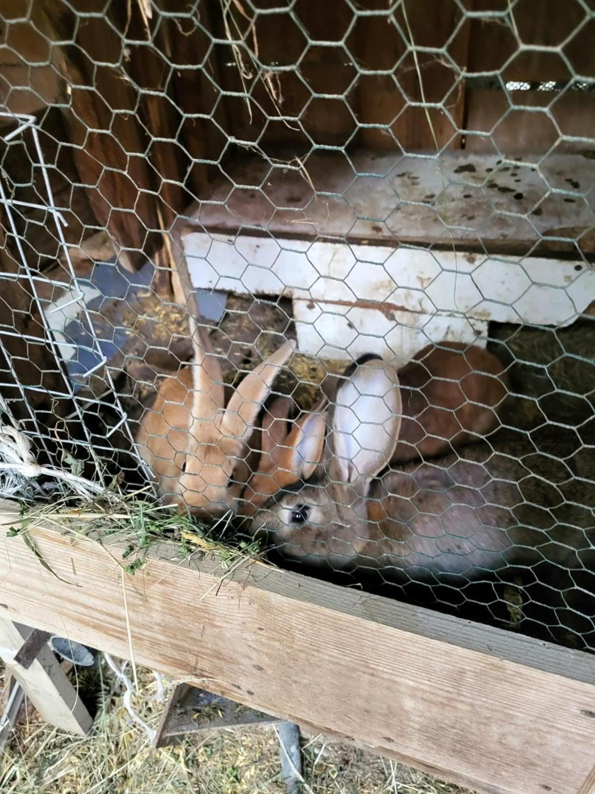 Koperkowe Rancho Beskid Wyspowy Domek Malopolskie Kamionna Kamionna  Εξωτερικό φωτογραφία