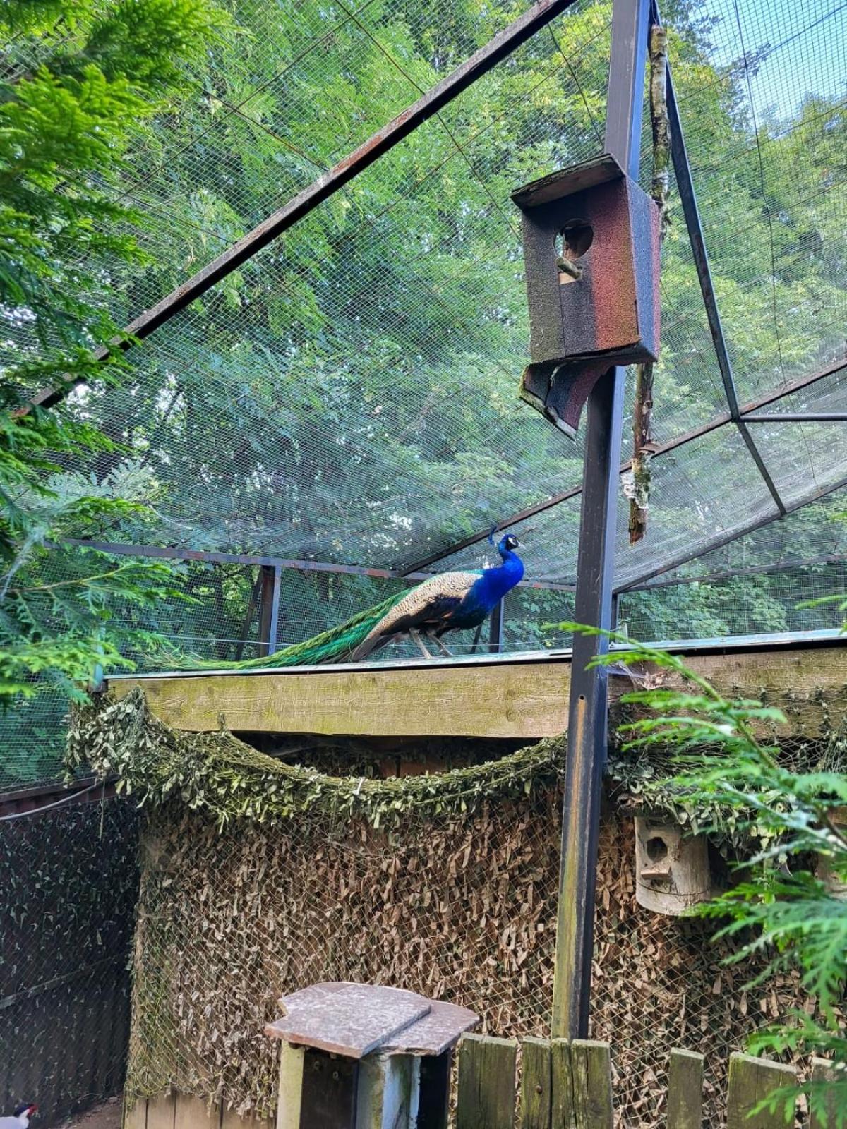 Koperkowe Rancho Beskid Wyspowy Domek Malopolskie Kamionna Kamionna  Εξωτερικό φωτογραφία