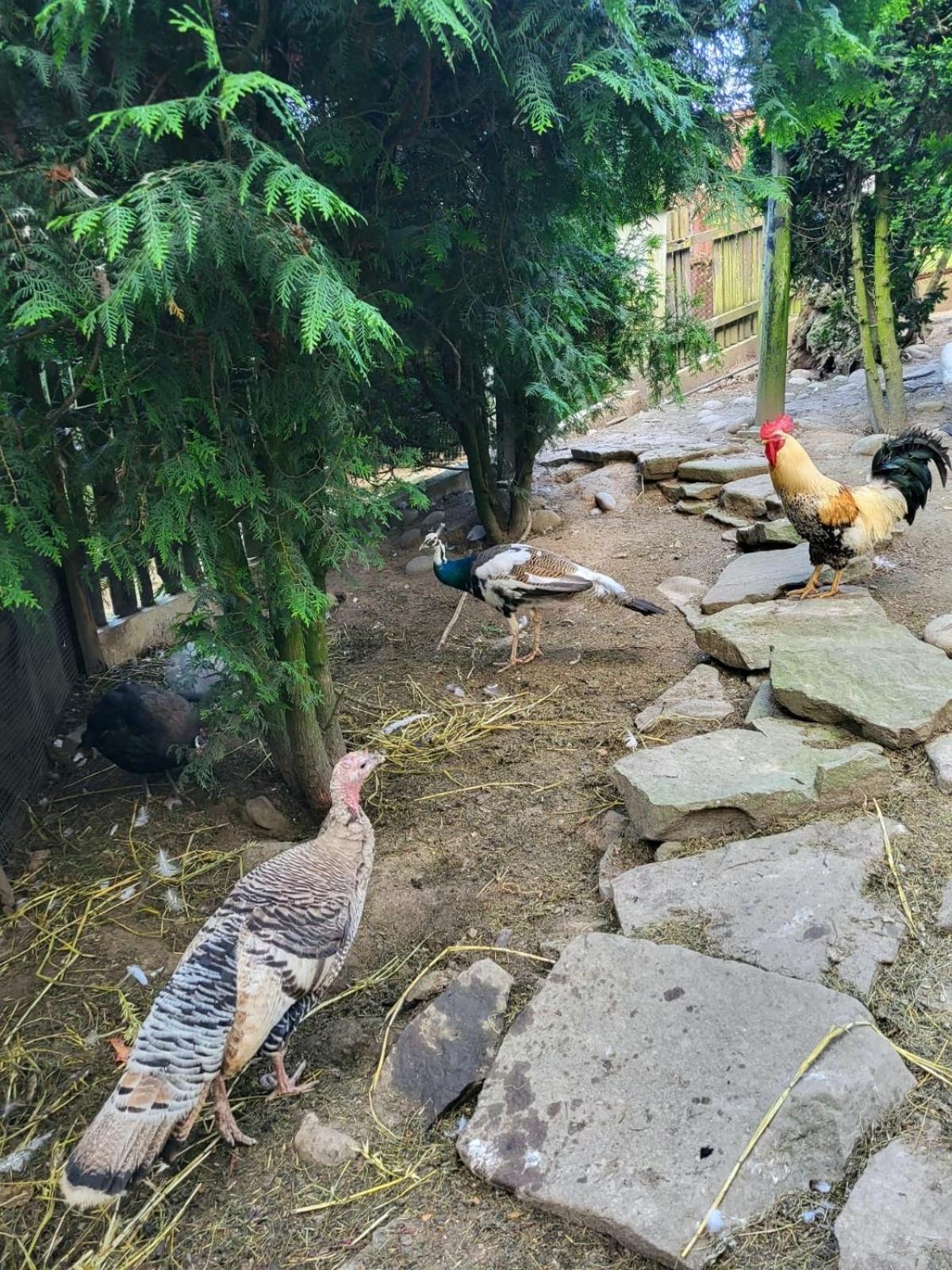 Koperkowe Rancho Beskid Wyspowy Domek Malopolskie Kamionna Kamionna  Εξωτερικό φωτογραφία