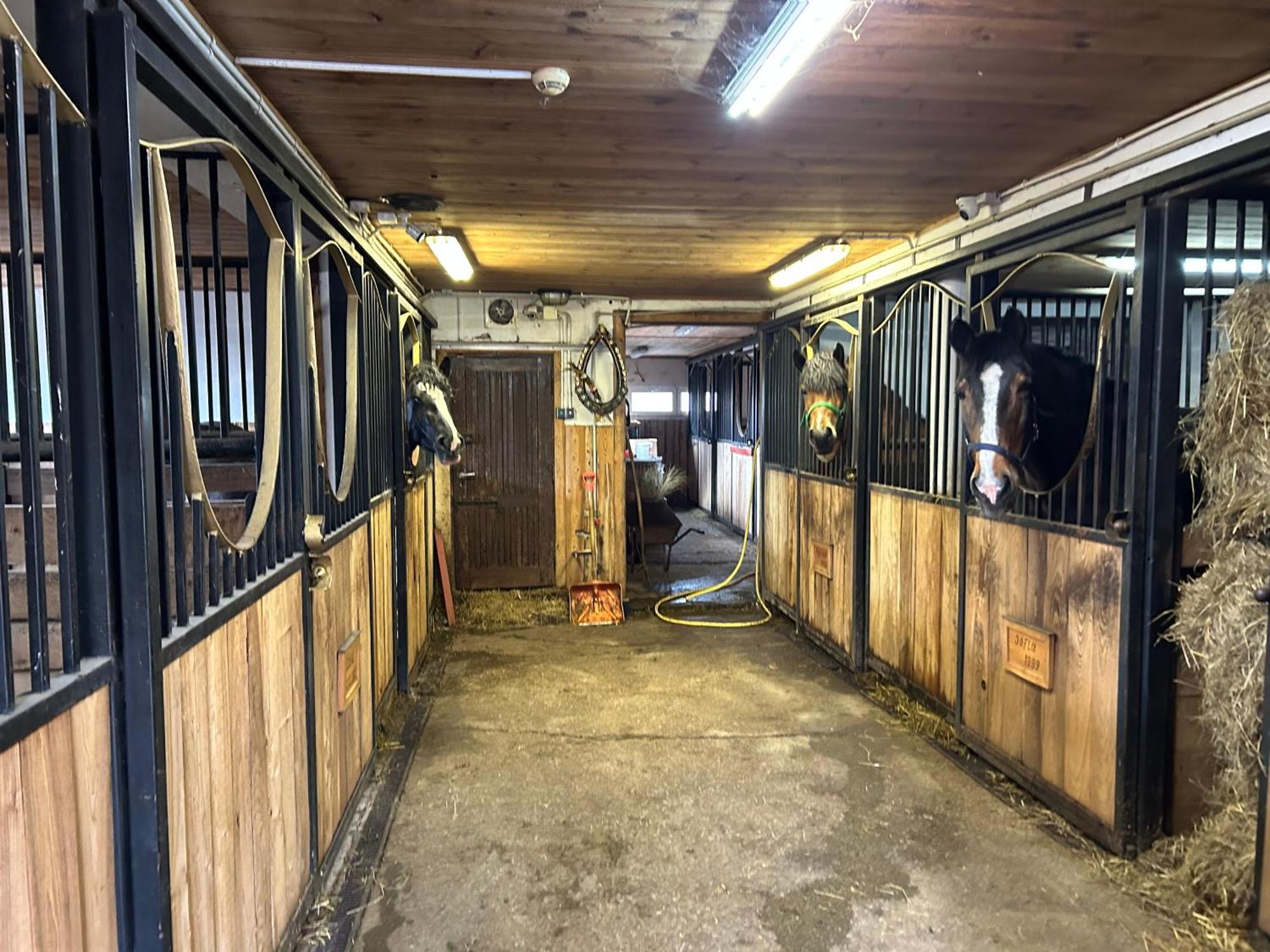 Koperkowe Rancho Beskid Wyspowy Domek Malopolskie Kamionna Kamionna  Εξωτερικό φωτογραφία